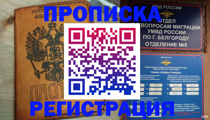 прописка для работы в Полярных Зорях